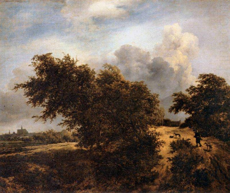 The Thicket, RUISDAEL, Jacob Isaackszon van